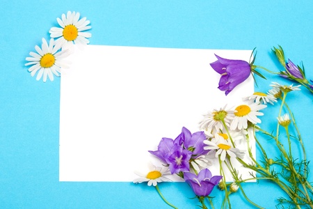 Greeting card for congratulations with bluebells and daisies on a blue backgroundの写真素材
