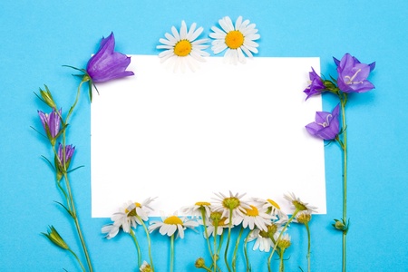 Card for congratulations with bluebells and daisies on a blue backgroundの写真素材