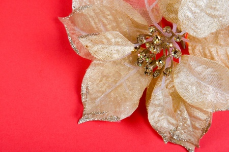 Christmas decor on a red backgroundの写真素材