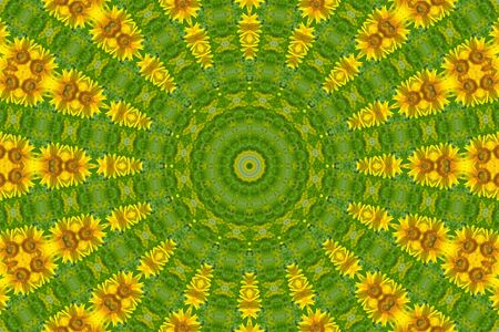 Beautiful yellow sunflower on a green backgroundの写真素材