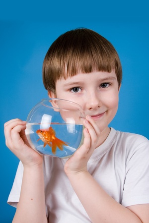 Boy holds a fishbowl with a goldfish on a blue backgroundの写真素材