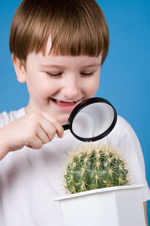 Smiling boy looking through a magnifying glass on a cactus on a blue backgroundの写真素材