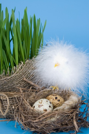 Easter still life with quail eggs in the nest on a blue backgroundの写真素材