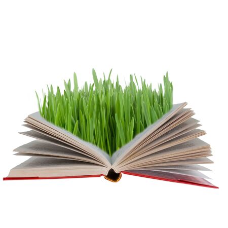 Open book with green grass isolated on white backgroundの写真素材