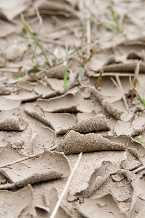 Grey dry ground with cracks close upの写真素材