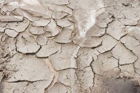 Grey dry land with cracks close up