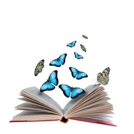 Open book with butterflies flying from it の写真素材