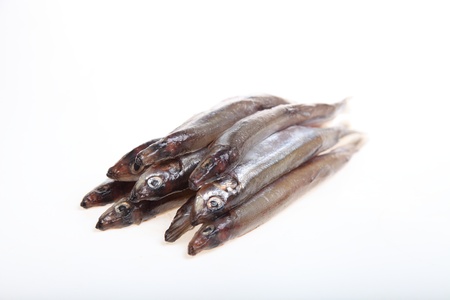 Capelin fish isolated on the white background の写真素材