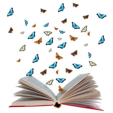 Open book with butterflies flying from it, white backgroundの写真素材