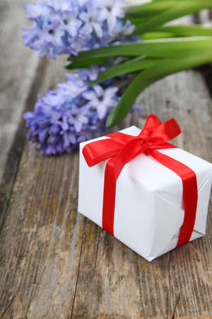 Blue hyacinth  and greeting card on a wooden backgroundの写真素材