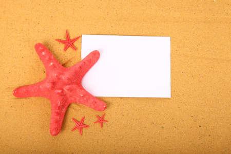 Red starfish and card on a sand background .の写真素材
