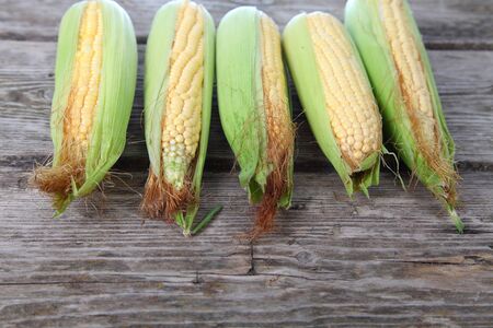 Corn on an  old wooden background