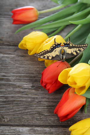 Bouquet of yellow and red tulips on a wooden backgroundの写真素材