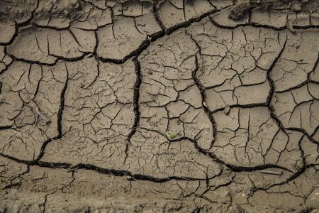 Dry brown earth close-up, background