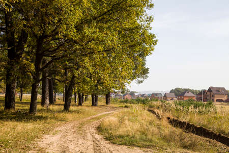 Road in the autumn forest on a sunny dayの写真素材