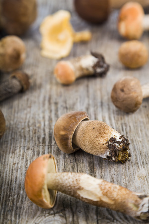 Raw mushrooms on a wooden table. Boletus edulis.の写真素材