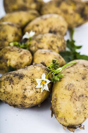 Raw potatoes with leaves and flowers on a wooden tableの写真素材