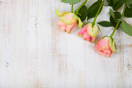 Pink roses  on a wooden background. Greeting card with Valentine's Day, Birthday or Wedding.の写真素材