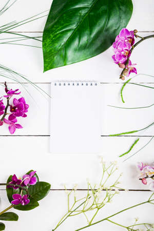 Orchid, notebook and decorative leaves on a white wooden table, top view. Beautiful background for your design.の写真素材