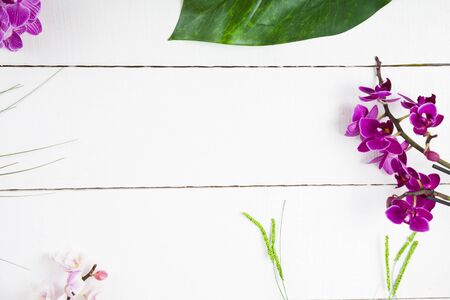 Orchid and decorative leaves on a white wooden table, top view. Beautiful background for your design.の写真素材