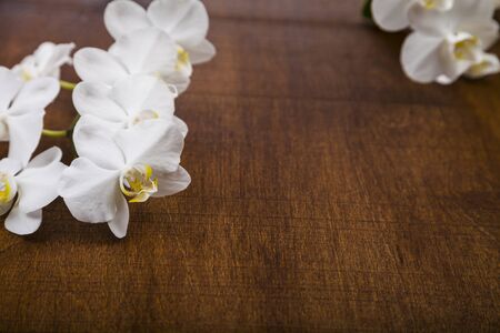 Orchid (Phalaenopsis) on a  wooden table, top view. Beautiful background for your design.の写真素材
