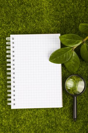Notebook,, magnifier and green leaves on the grass close-up.の写真素材