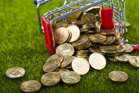cart with the coins turned over on the green grass. Coins poured out on the lawn.の写真素材