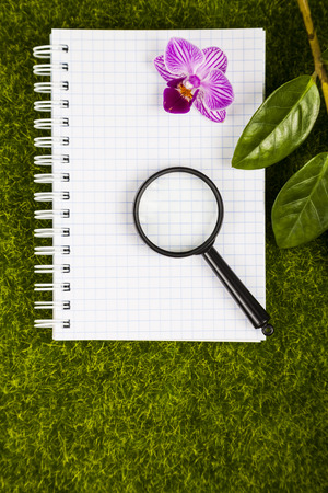 Notebook, magnifier,orchid and green leaves on the grass close-up.の写真素材