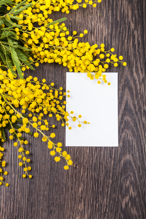 Mimosa and paper on a wooden background.の写真素材
