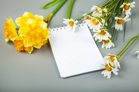 Bouquet of spring flowers and a card on a gray background.の写真素材