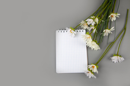 Bouquet daisies and a card on a gray background.の写真素材