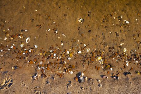 Beautiful landscape with a calm river.Sandy coast of the river with shells close-upの写真素材