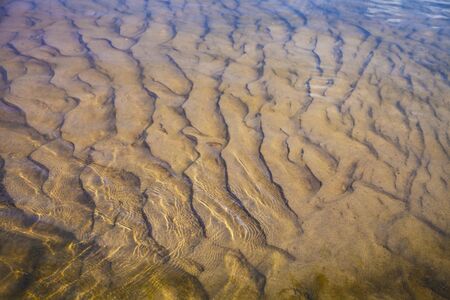 Beautiful landscape with a calm river. Sandy bottom of the river with shells.