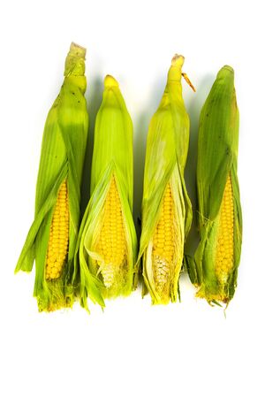 Corn isolated on a white background.の写真素材