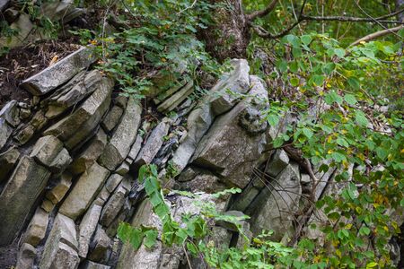 Forest in the mountains. Fragment of rocks and trees.の写真素材