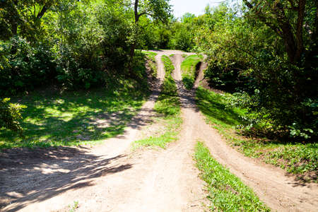 Walking path. Beautiful summer landscape. Park on a sunny day.の写真素材