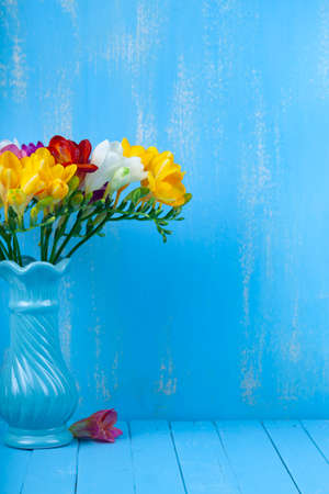 Bouquet of multi-colored freesias in a vase on a blue background. Beautiful flowers.の写真素材