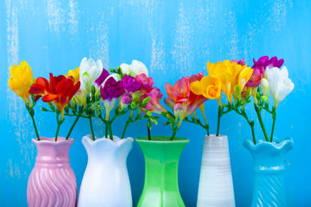 Five vases with freesias on a blue background. Beautiful flowers.の写真素材