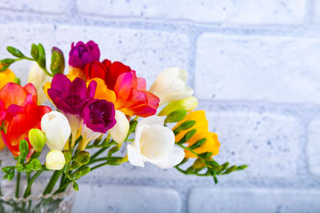 Bouquet of multi-colored freesias on a brick wall background. Beautiful flowers.の写真素材