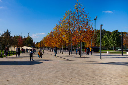 City Park "Krasnodar" or Galitsky Park. Beautiful alleys in a picturesque park around the football stadium "Krasnodar". Landscaping. Krasnodar, Russia - November 11, 2020のeditorial素材