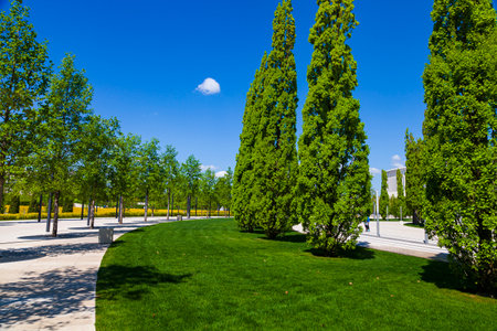 City Park "Krasnodar" or Galitsky Park. Beautiful alleys in a picturesque park around the football stadium "Krasnodar". Landscaping. Krasnodar, Russia - May 5, 2021のeditorial素材