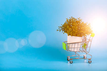 Shopping cart and potted plant on a blue background.の写真素材