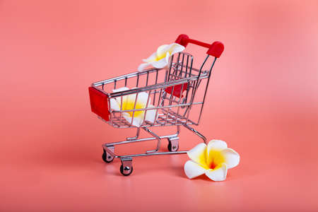 Shopping cart and flowers on a pink background.の写真素材