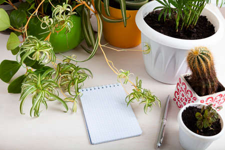 Lots of indoor plants and a notebook with a pen. Indoor flower care.の写真素材