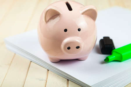Pig piggy bank and markers on paper. Savings planning.の写真素材