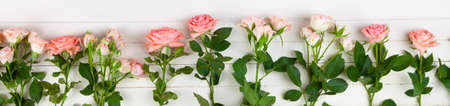Pink roses on a light wooden background, place for your text. Flowers border.Banner.