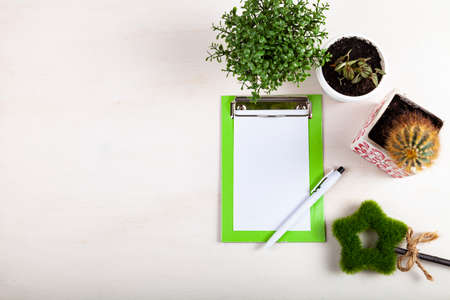 Indoor flowers and notepaper on a wooden background. Indoor flower care.