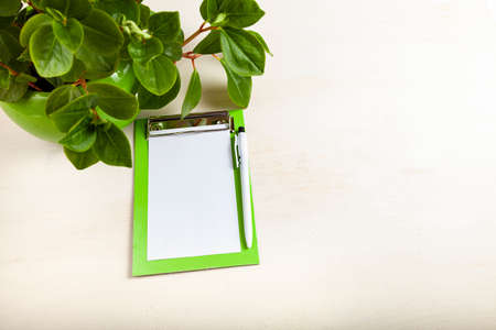 Indoor flowers and notepaper on a wooden background. Indoor flower care.