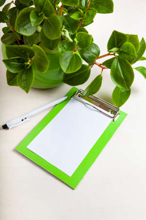 Indoor flowers and notepaper on a wooden background. Indoor flower care.の写真素材