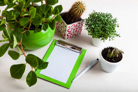 Indoor flowers and notepaper on a wooden background. Indoor flower care.の写真素材